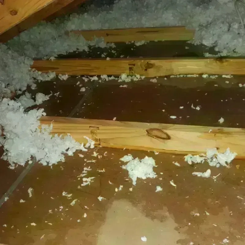 Attic Water Damage in Ipswich, SD